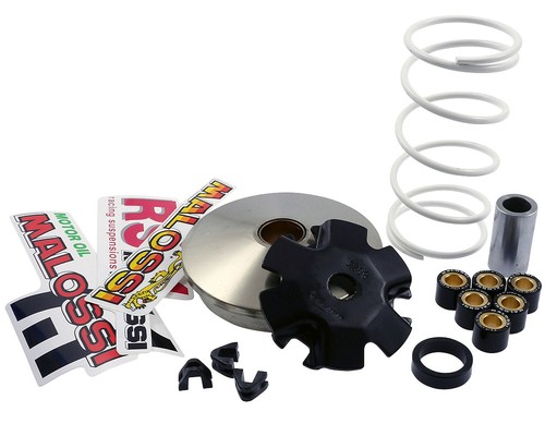 Variatore malossi multivar - variatore,