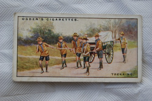 1929 ogdens boy scouts - 1929,