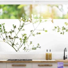 Pellicola per finestra