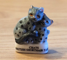 Fava - Gatto British Shorthair