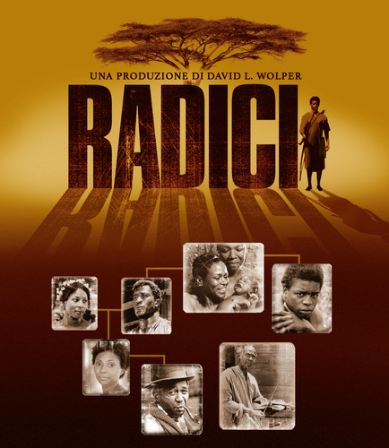 Radici dvd mini - radici-,