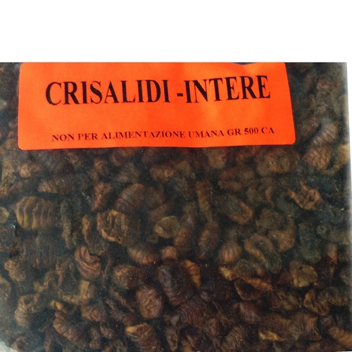 Crisalidi innesco pesca - da,