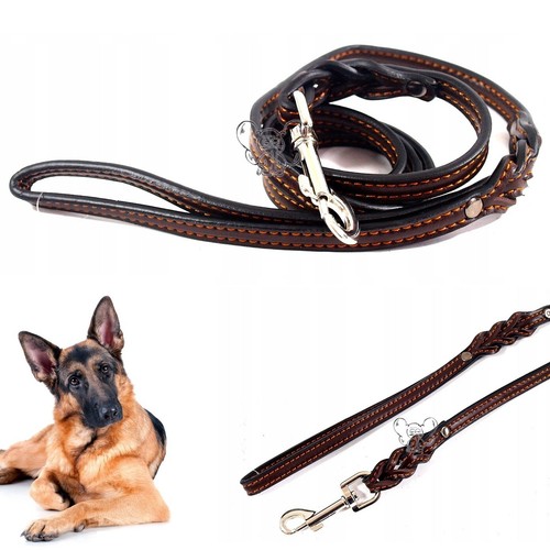 Guinzaglio per cane resistente - cane,