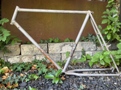 Nos vintage capolavoro - 1x,