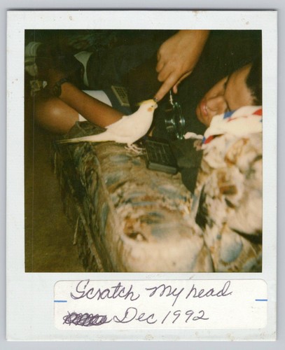 Polaroid snapshot anni - , 90