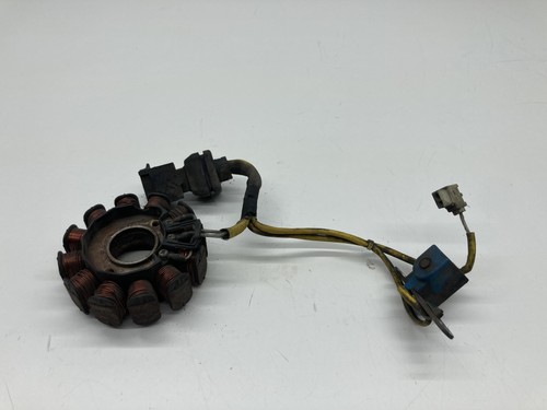 Statore alternatore magnete - statore,