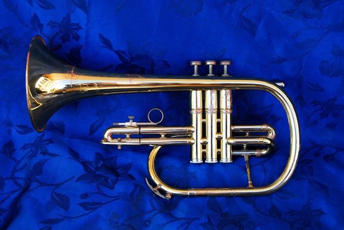 Flicorno 1964 martin committee - martin,