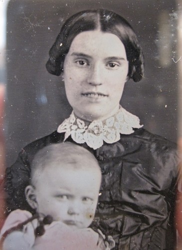 Antique american beauty - antique,
