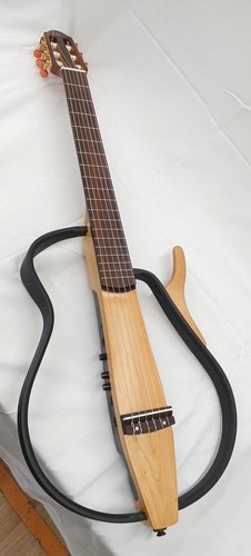 Chitarra acustica elettrica