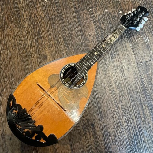 Suzuki mandolino strumento - suzuki, n.6