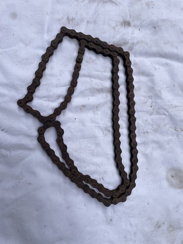 Catena trasmissione rizzato - catena,