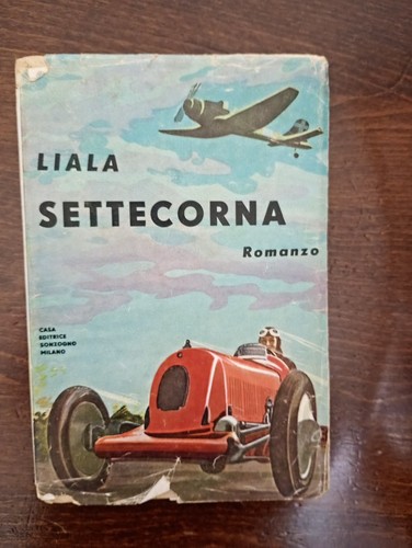 311 libro settecorna - 311., liala