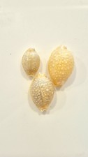Ciprea nucleus stunning set - ciprea,