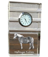 Haflinger puledri orologio - haflinger,