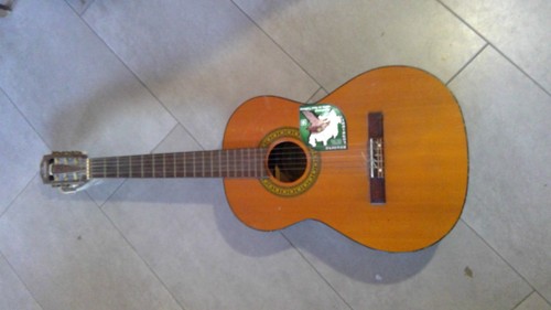 Chitarra vintage clarissa