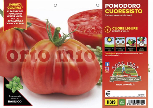 Orto mio pomodoro - orto, ligure