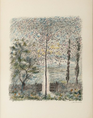 Michele cascella - michele,