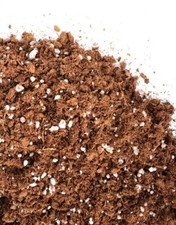 TORBA DI SFAGNO + PERLITE