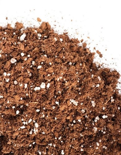 Torba sfagno perlite - di,