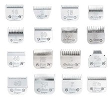 Acciaio Oster Cryogenx Serie