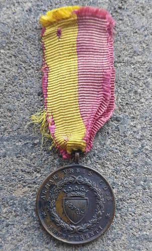Risorgimento pio medaglia - pio, ix