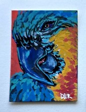 Originale ACEO Pappagallo