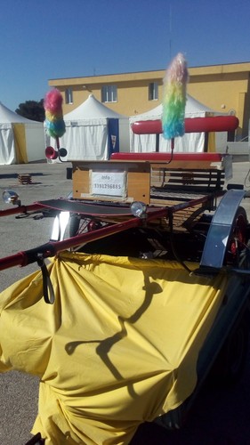 Calesse per poni cavalli - calesse, e