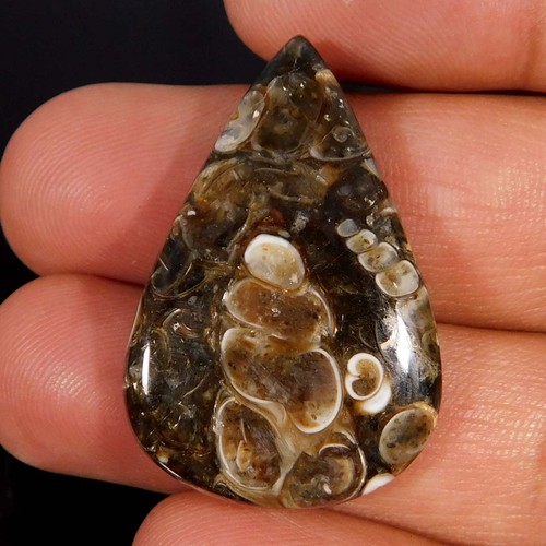 Cabochon pera fossile - di,