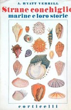 STRANE CONCHIGLIE MARINE E