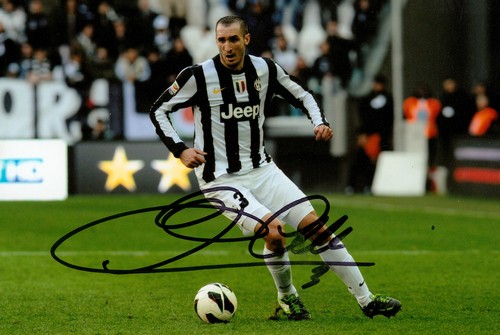 Giorgio chiellini foto 6x4 - chiellini,