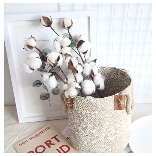 Steli per cotone - steli,