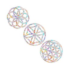  Adesivo per finestra