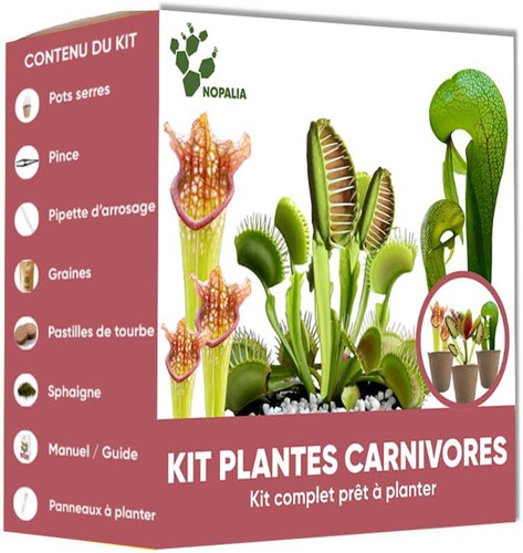 Nopalia kit piante - kit, carnivore
