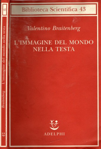 Immagine del mondo - l'immagine,