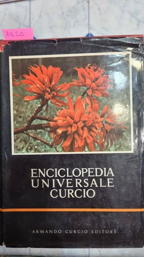 Enciclopedia universale curcio