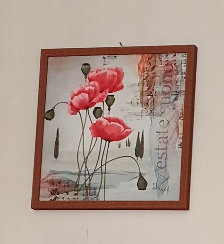 Quadro stampa papaveri di - quadro/stampa,