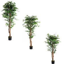 Pianta artificiale ficus - artificiale,