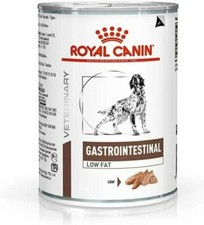 12 Lattine Royal Canin