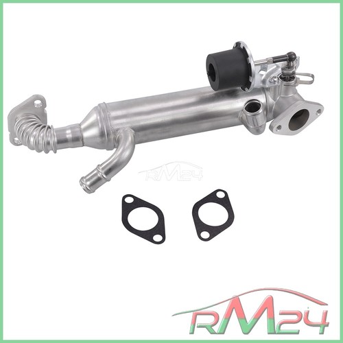 Radiatore egr circolo gas - radiatore,