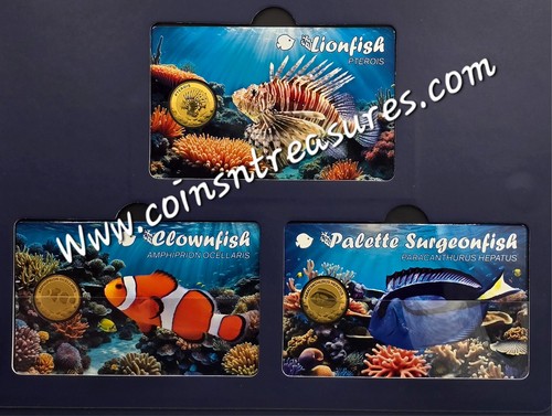 Album carte monete oro - 3,