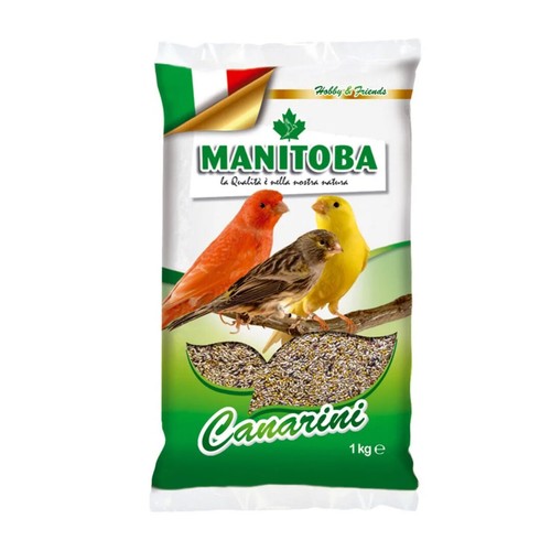 Manitoba canarini biscuit - t1,