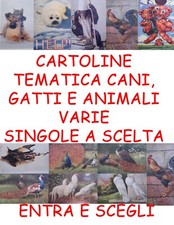 TEMATICA CANI, GATTI E ANIMALI
