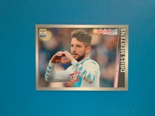 Figurine Calciatori Panini