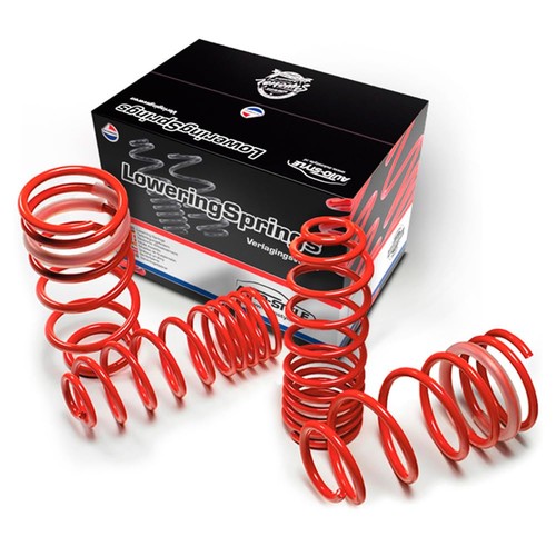 Autostyle kit molle assetto - autostyle,