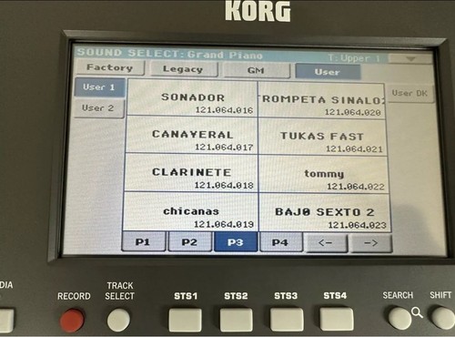 Campioni para teclado korg - para, pa