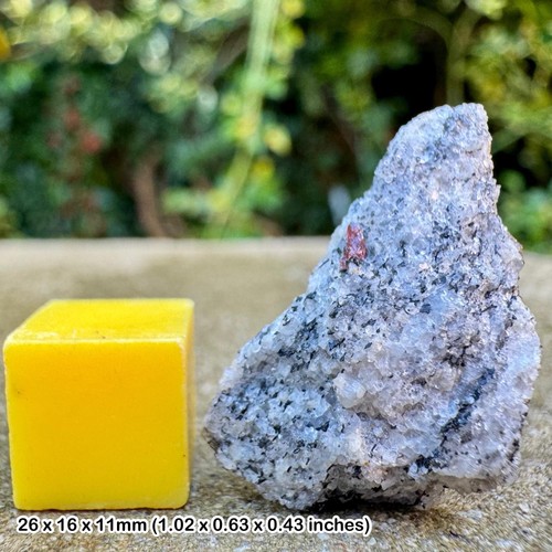 Garnet mica schist saint - in,
