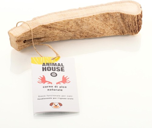 Animal house corna alce per - di,