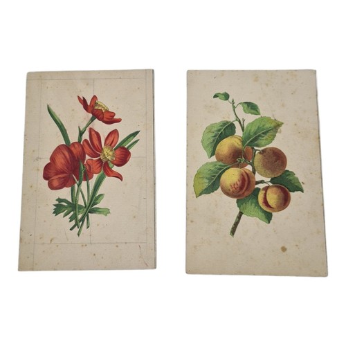 Coppia antiche stampe stampa - coppia,