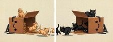 Mike Mitchell BOXO II Puppies and Kitties (2) set stampa 11"x14" firmato Esaurito!