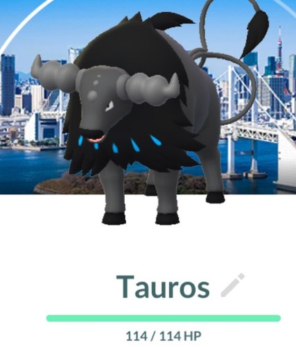 Pokemon tauros aqua - go,